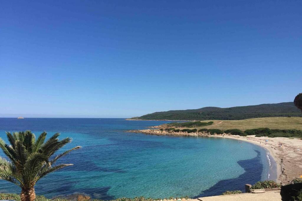 Ajaccio Charmant T2 neuf 40m2 avec balcon au Trottel wifi Clim parking plage à pieds 100m Exterior foto