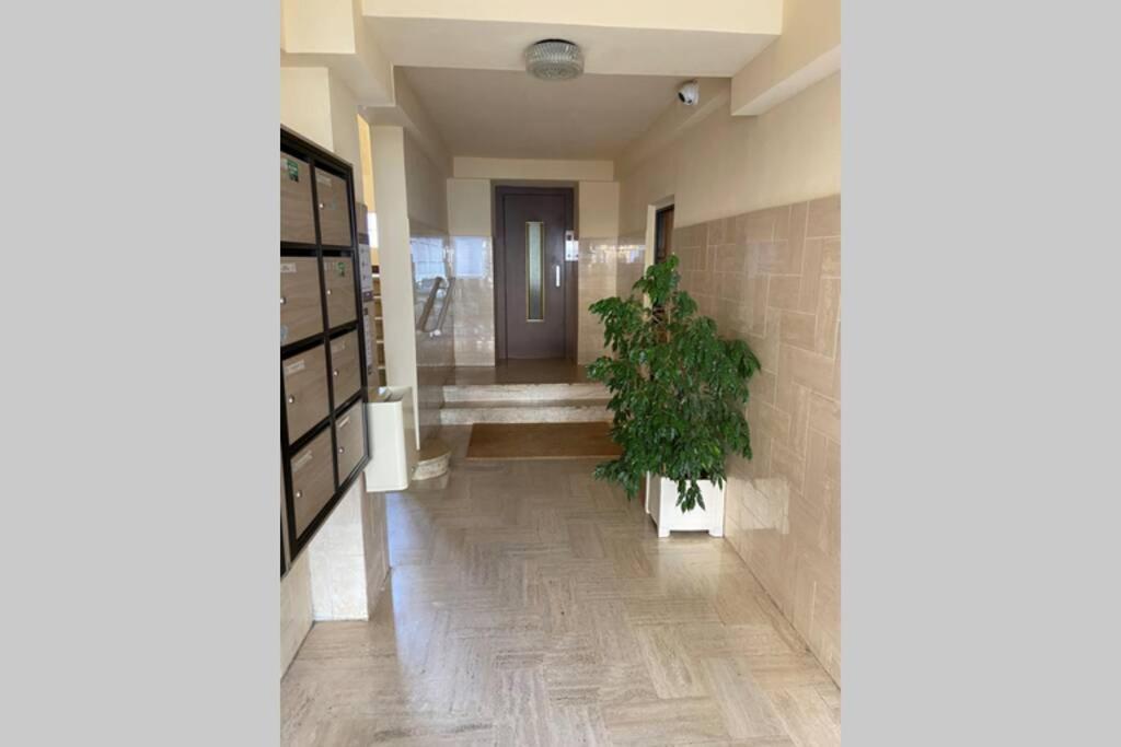 Ajaccio Charmant T2 neuf 40m2 avec balcon au Trottel wifi Clim parking plage à pieds 100m Exterior foto