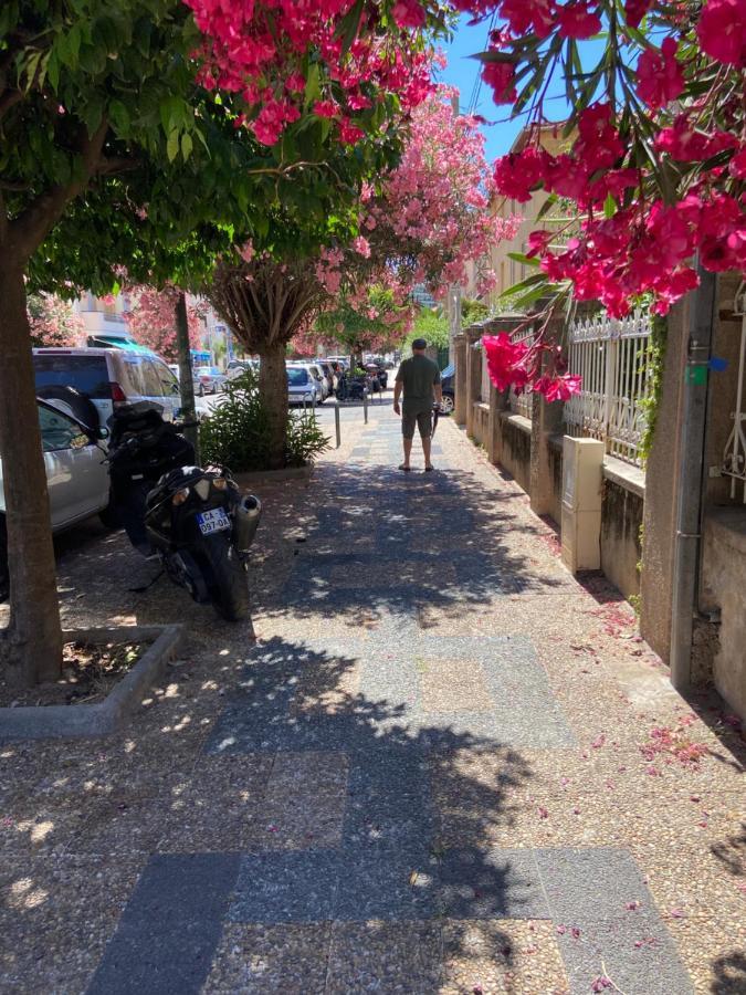 Ajaccio Charmant T2 neuf 40m2 avec balcon au Trottel wifi Clim parking plage à pieds 100m Exterior foto