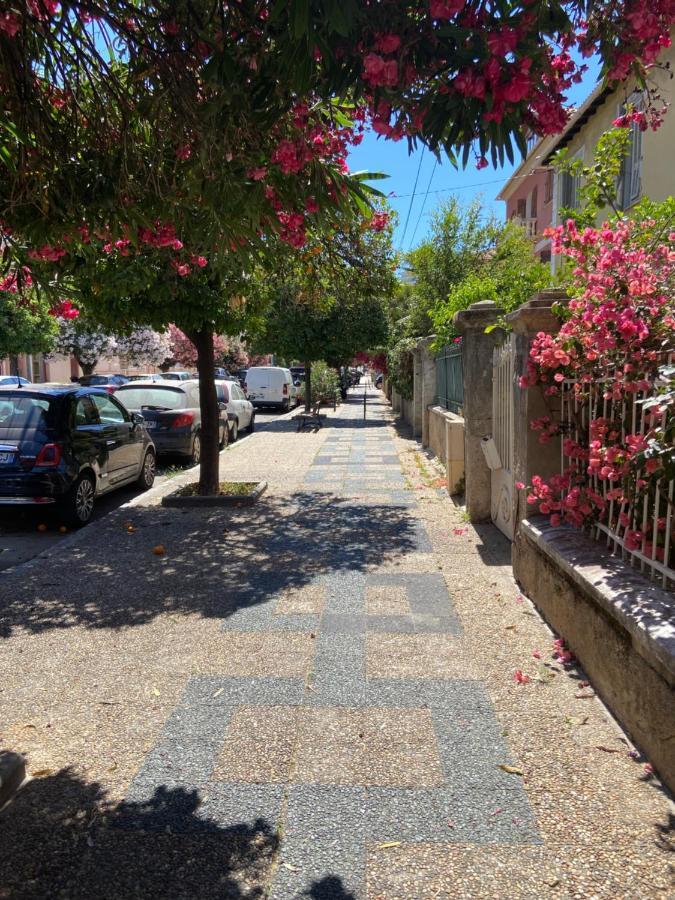 Ajaccio Charmant T2 neuf 40m2 avec balcon au Trottel wifi Clim parking plage à pieds 100m Exterior foto